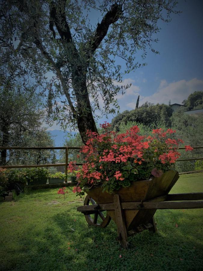 Appartamento Camelia Malcesine Exteriér fotografie